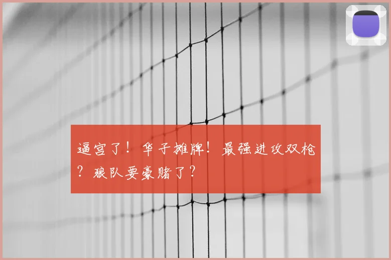 逼宫了！华子摊牌！最强进攻双枪？狼队要豪赌了？